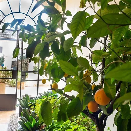 Mansarda Fogazzaro *